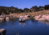 Select an image to enlarge