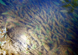 Select an image to enlarge