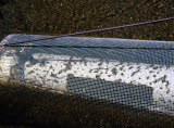 Select an image to enlarge