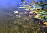 Select an image to enlarge
