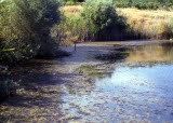 Select an image to enlarge
