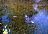 Select an image to enlarge