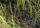 Select an image to enlarge
