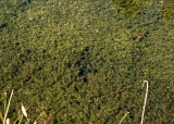 Select an image to enlarge