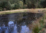 Select an image to enlarge
