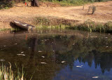 Select an image to enlarge
