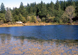 Select an image to enlarge