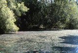 Select an image to enlarge
