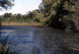 Select an image to enlarge