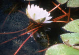 Select an image to enlarge