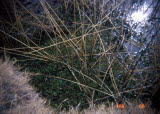 Select an image to enlarge