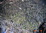 Select an image to enlarge