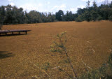 Select an image to enlarge