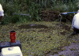 Select an image to enlarge