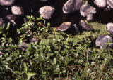 Select an image to enlarge