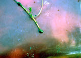 Select an image to enlarge