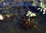 Select an image to enlarge