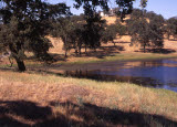Select an image to enlarge