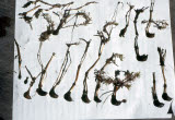 Select an image to enlarge