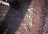 Select an image to enlarge