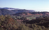 Select an image to enlarge