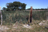Select an image to enlarge