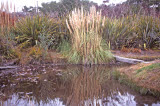 Select an image to enlarge