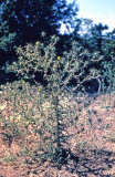 Select an image to enlarge