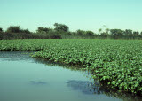 Select an image to enlarge