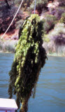 Select an image to enlarge