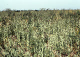 Select an image to enlarge