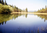 Select an image to enlarge