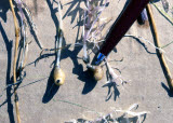 Select an image to enlarge