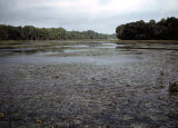 Select an image to enlarge