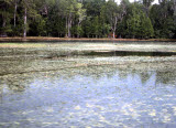 Select an image to enlarge