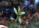 Select an image to enlarge