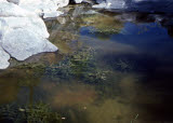 Select an image to enlarge