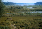 Select an image to enlarge