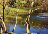 Select an image to enlarge