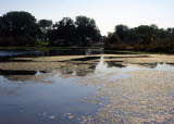 Select an image to enlarge