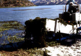 Select an image to enlarge