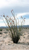 Select an image to enlarge