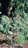 Select an image to enlarge