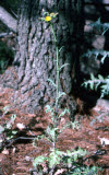 Select an image to enlarge