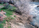 Select an image to enlarge