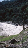 Select an image to enlarge