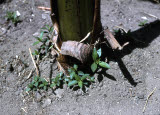 Select an image to enlarge