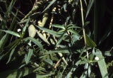 Select an image to enlarge