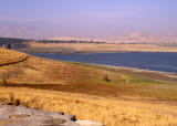 Select an image to enlarge