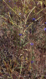 Select an image to enlarge